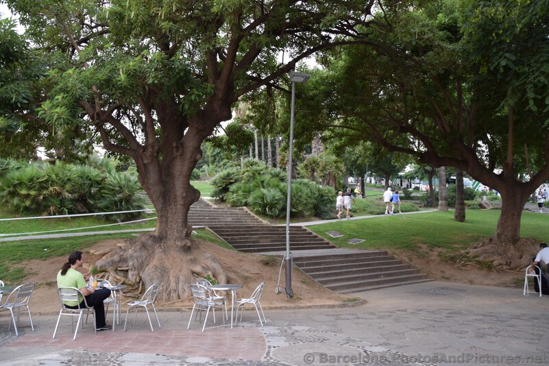 Jardins del Mirador Garden of Montjuic Barcelona.jpg