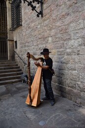 Spanish Harp Player Street Musician at Barcelona Cathedral.jpg