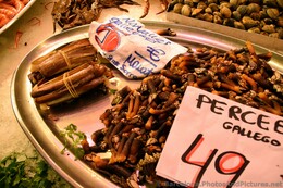 Razor Clams for Sale @ La Boqueria.jpg