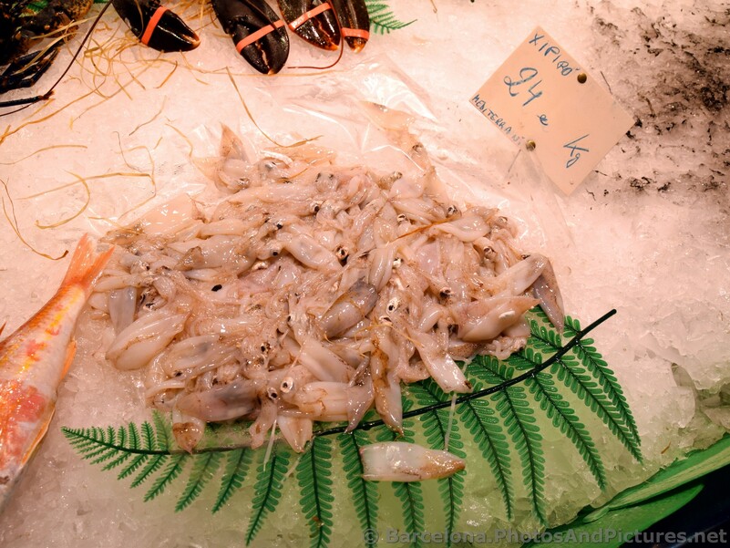 Baby Squids for sale @ La Boqueria.jpg