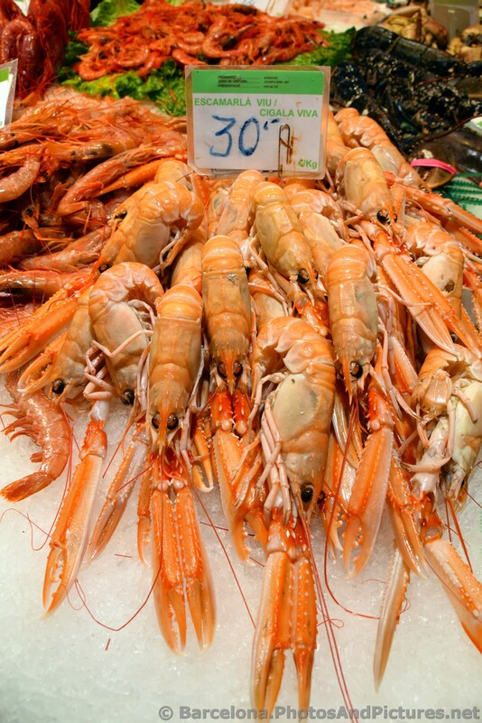 Langoustines for Sale @ La Boqueria.jpg