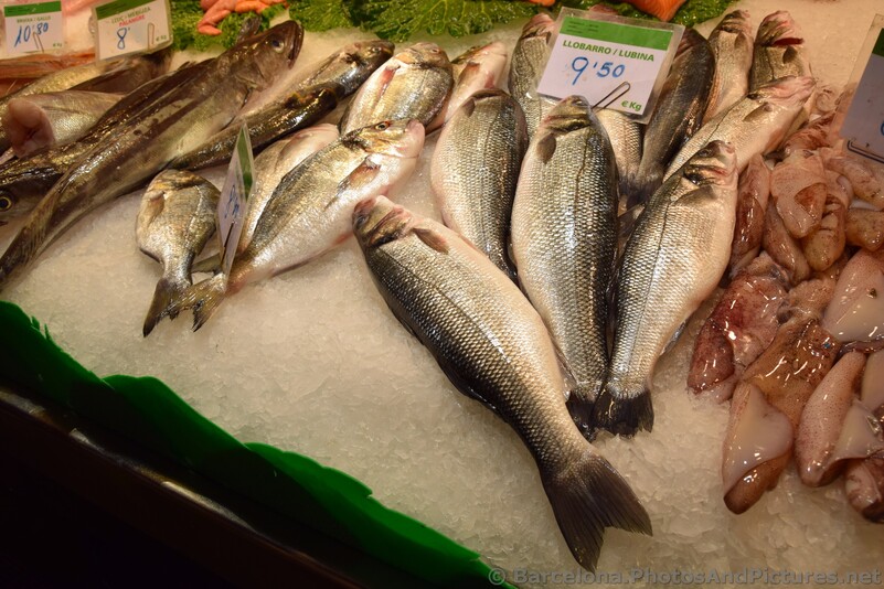 Sea Bass for Sale @ La Boqueria.jpg