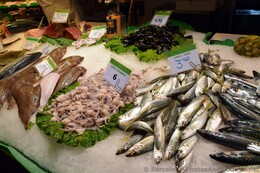Fresh Sole, Calamari, & Mackerel Sold @ La Boqueria.jpg