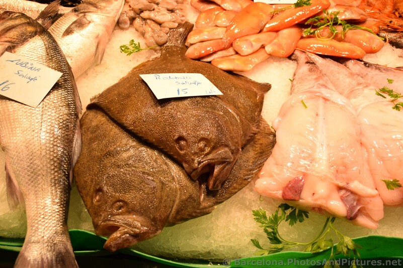 Rodaballo Salvaje Picture Wild Turbot for Sale @ La Boqueria.jpg