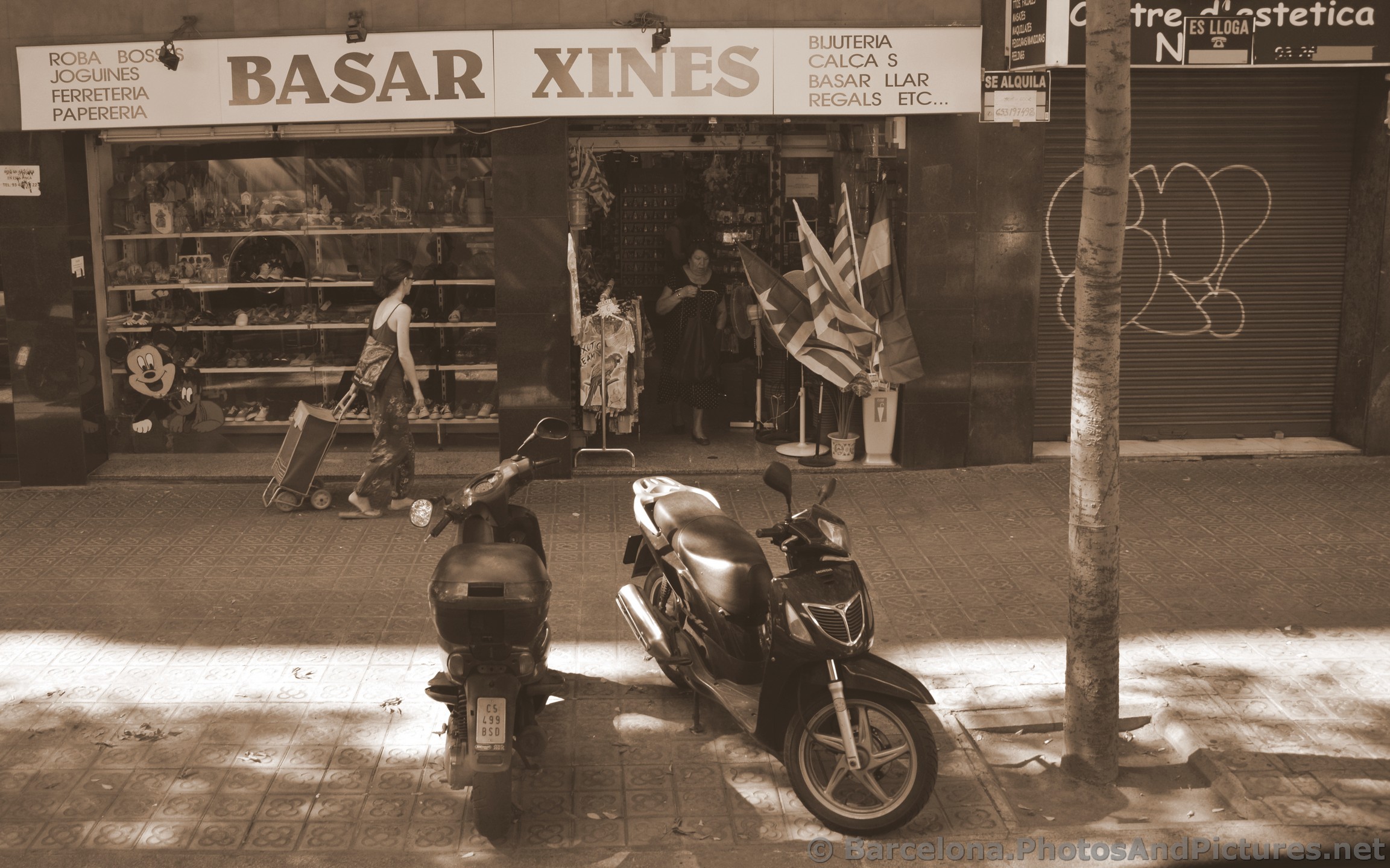 Chinese Store in Barcelona Basar Xines.jpg