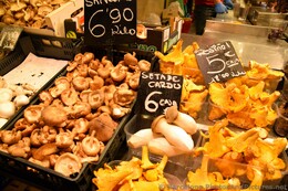 Various Mushrooms for sale @ Barcelona Boqueria.jpg