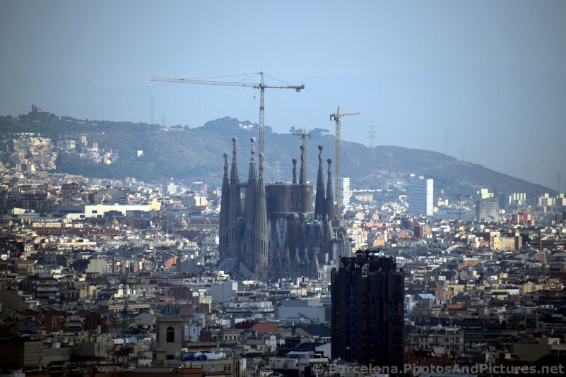 Sagrada Familia seen from Montjuic hill.jpg