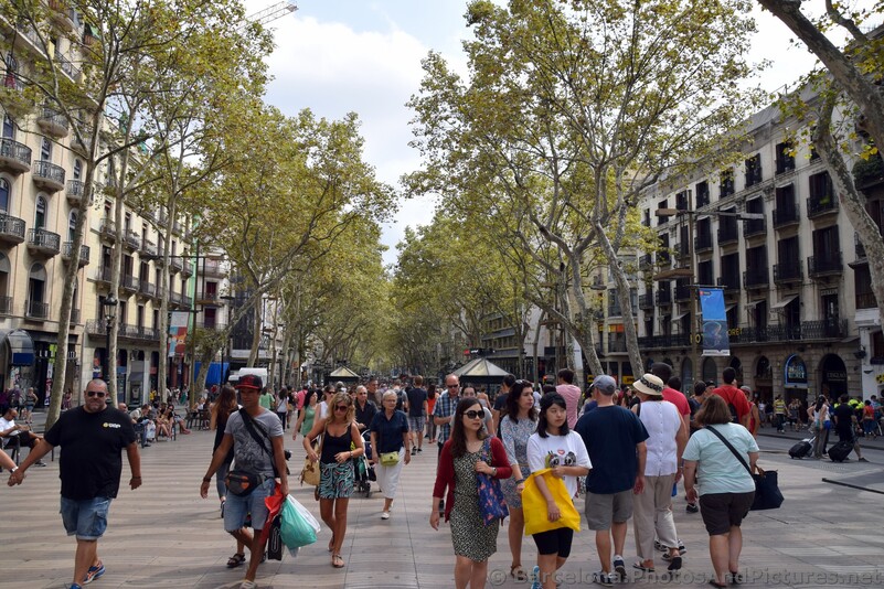 Famous Street in Barcelona La Rambla.jpg