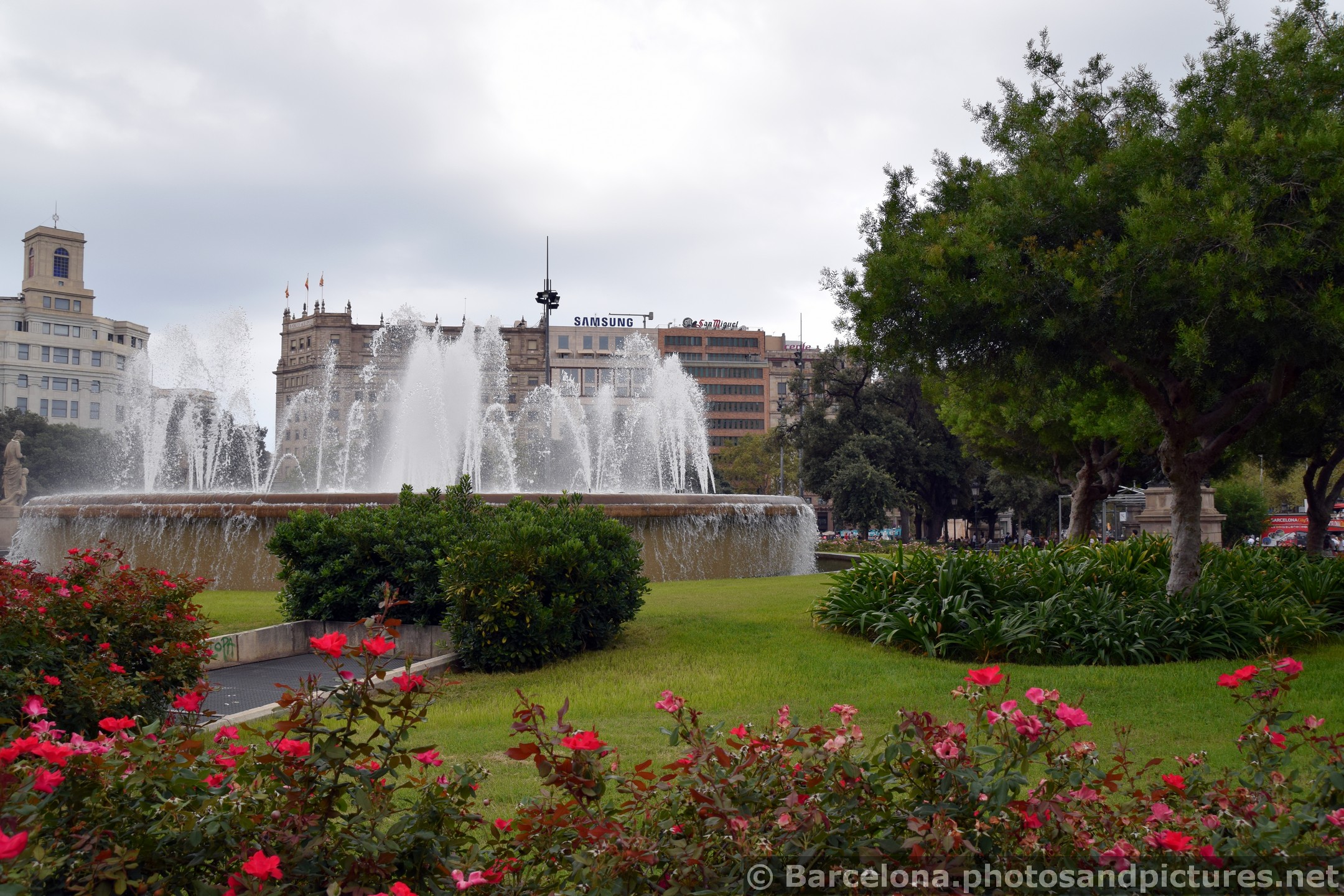 Foutain @ Catalunya Square in front of Rose Bushes.jpg
