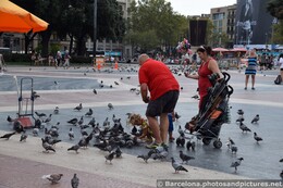 Tourists Feeding Pigeons at Catalunya Square Barcelona.jpg