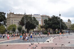 Folks walking in the Placa Catalunya amongst Pigeons.jpg