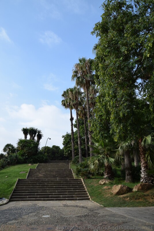 Tall Palm Trees of Barcelona Jardins del Mirador.jpg